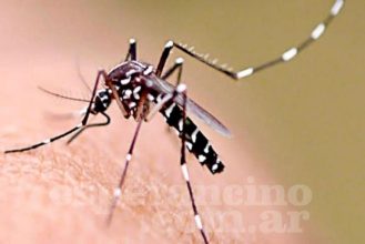 81759 se notificaron 55 nuevos casos de dengue en la provincia