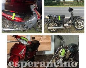 WhatsApp Image 2026-01-29 at 08.24.19