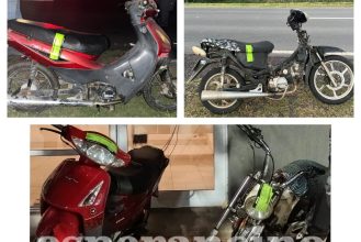 WhatsApp Image 2026-01-29 at 08.24.19