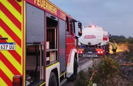 WhatsApp Image 2026-02-02 at 07.28.24