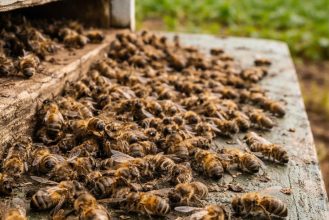 WhatsApp Image 2026-02-03 at 14.37.03