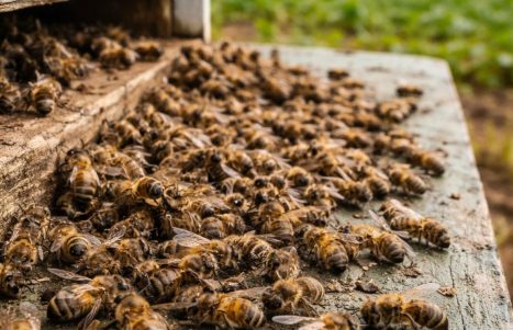 WhatsApp Image 2026-02-03 at 14.37.03