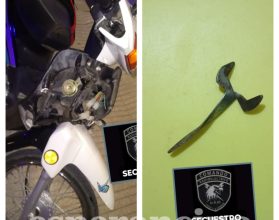 WhatsApp Image 2026-02-09 at 12.49.49