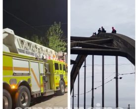 WhatsApp Image 2026-02-12 at 08.04.49