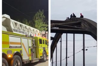 WhatsApp Image 2026-02-12 at 08.04.49