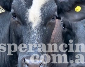 WhatsApp-Image-2026-02-18-at-2.03.52-PM-3-750x375