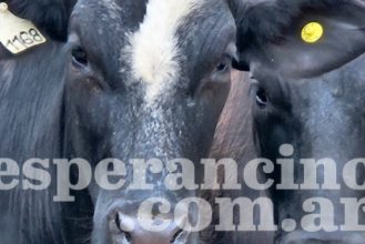 WhatsApp-Image-2026-02-18-at-2.03.52-PM-3-750x375