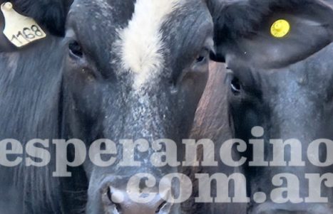 WhatsApp-Image-2026-02-18-at-2.03.52-PM-3-750x375