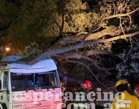 WhatsApp Image 2026-03-03 at 06.32.43