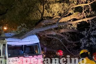 WhatsApp Image 2026-03-03 at 06.32.43