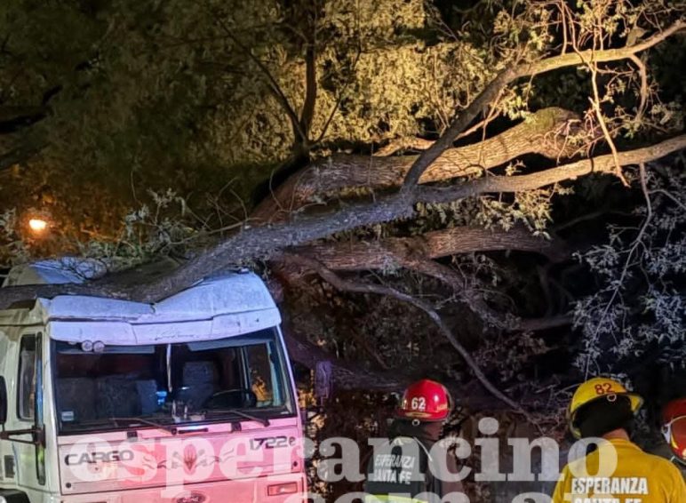 WhatsApp Image 2026-03-03 at 06.32.43