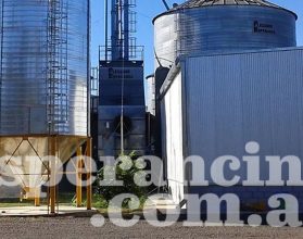 WhatsApp Image 2026-03-03 at 19.23.29