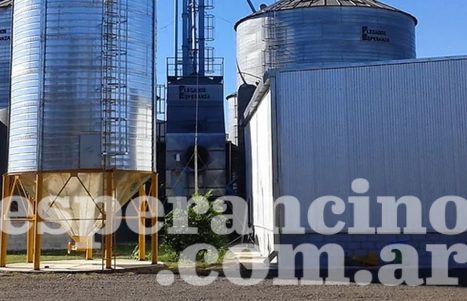 WhatsApp Image 2026-03-03 at 19.23.29