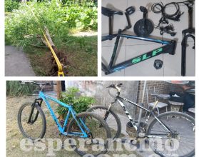 WhatsApp Image 2026-03-13 at 12.30.15