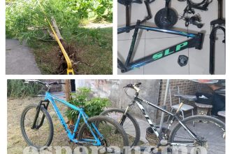 WhatsApp Image 2026-03-13 at 12.30.15