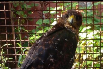 WhatsApp Image 2026-03-27 at 08.07.16