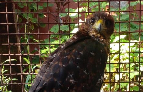 WhatsApp Image 2026-03-27 at 08.07.16