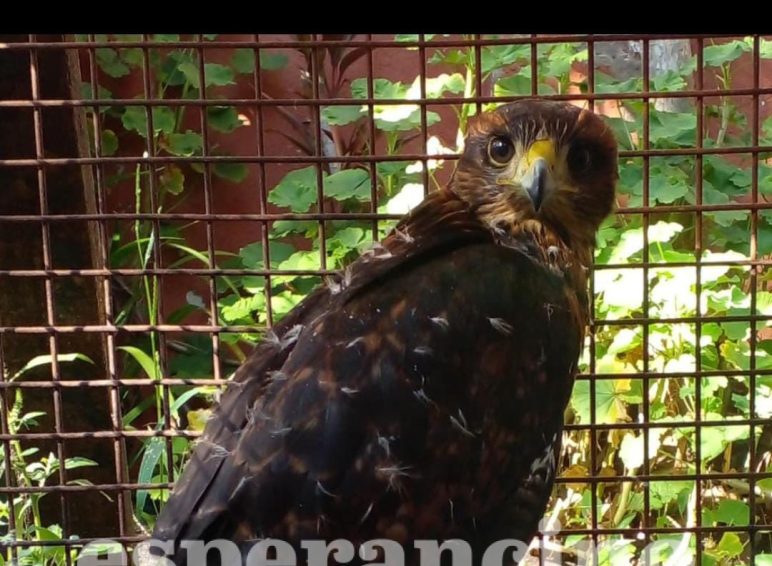 WhatsApp Image 2026-03-27 at 08.07.16