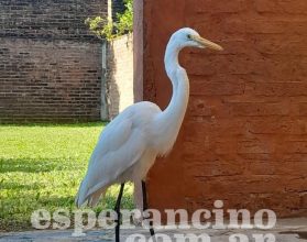 WhatsApp Image 2026-03-28 at 08.20.32