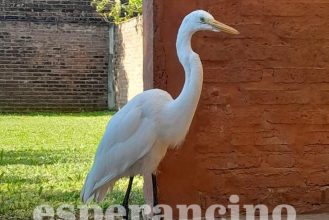 WhatsApp Image 2026-03-28 at 08.20.32