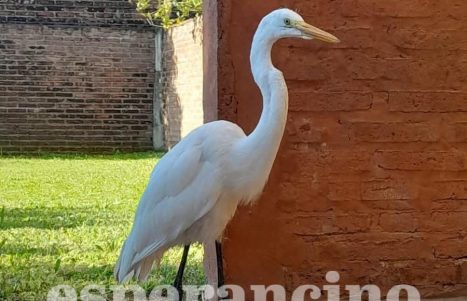 WhatsApp Image 2026-03-28 at 08.20.32