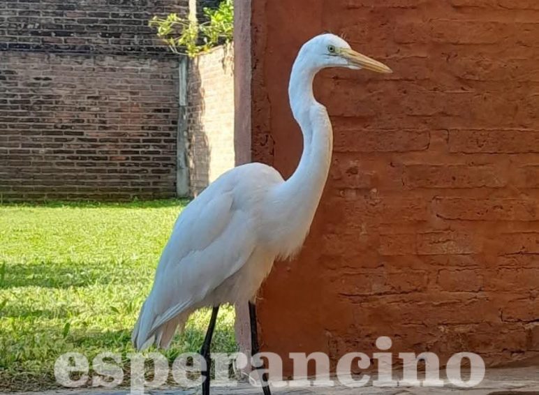 WhatsApp Image 2026-03-28 at 08.20.32