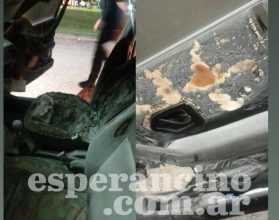 WhatsApp Image 2026-03-29 at 07.17.26