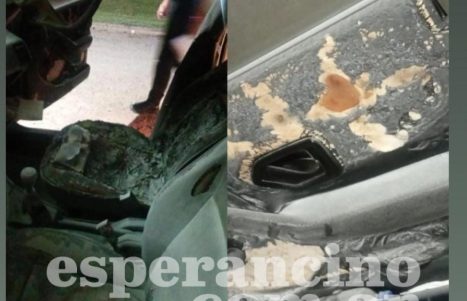 WhatsApp Image 2026-03-29 at 07.17.26