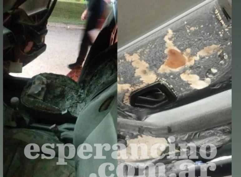 WhatsApp Image 2026-03-29 at 07.17.26