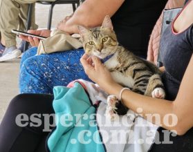 castraciones2-1024x768