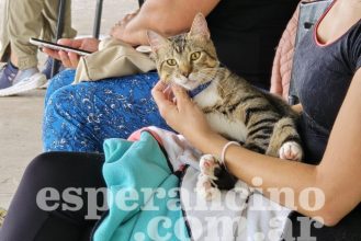 castraciones2-1024x768