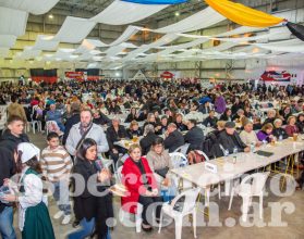 colectividades9-1024x683