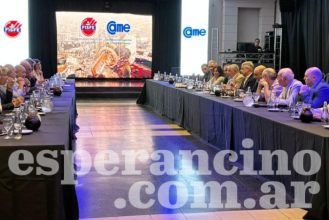 fisfe_y_came_version1772475938774.jpeg_1756841869