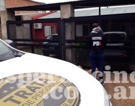 trata pdi abuso